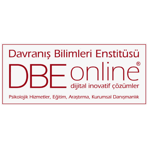 DBE ONLINE DANIŞMANLIK HİZMETLERİ