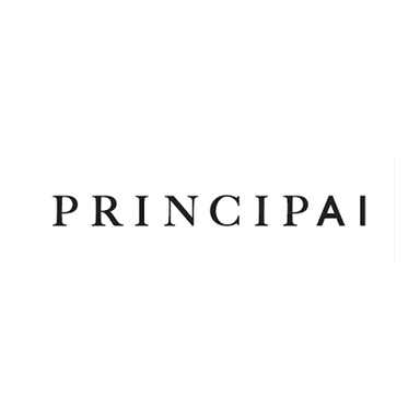 PRINCIPAI YAPAY ZEKA VE BİLİŞİM TEKNOLOJİLERİ