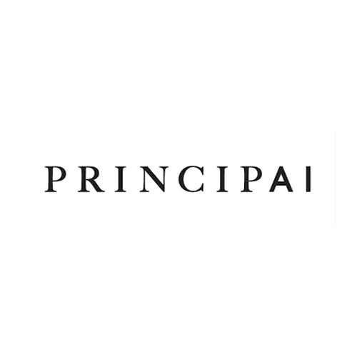 PRINCIPAI YAPAY ZEKA VE BİLİŞİM TEKNOLOJİLERİ