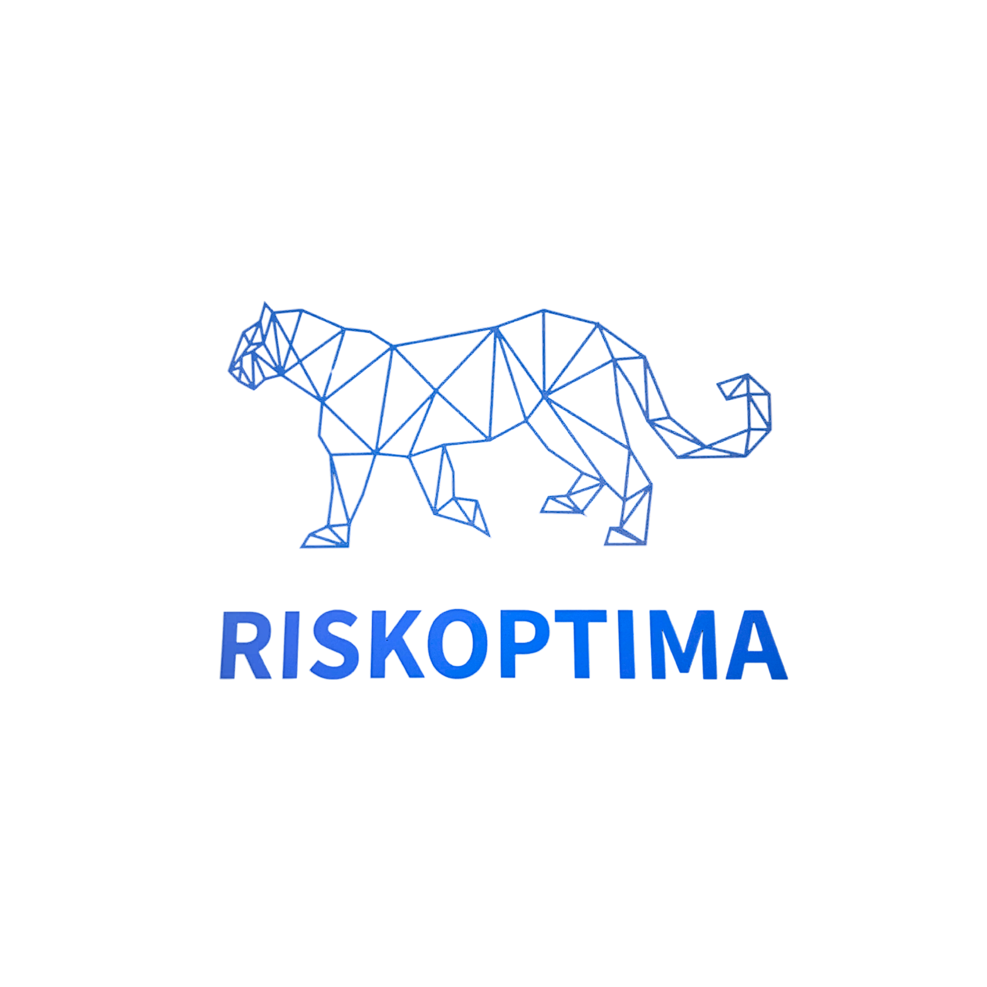 Riskoptima WealthTech