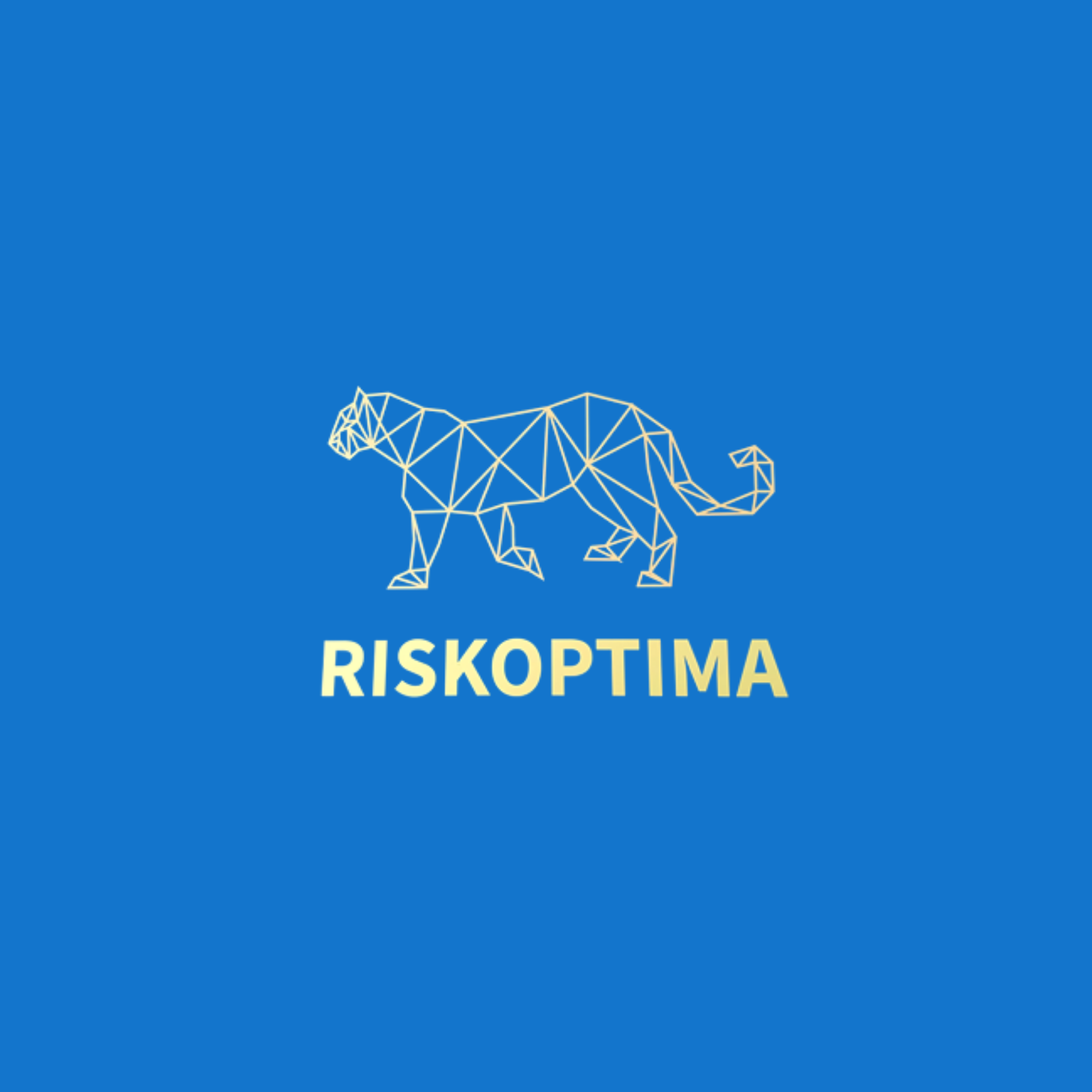 Riskoptima WealthTech 